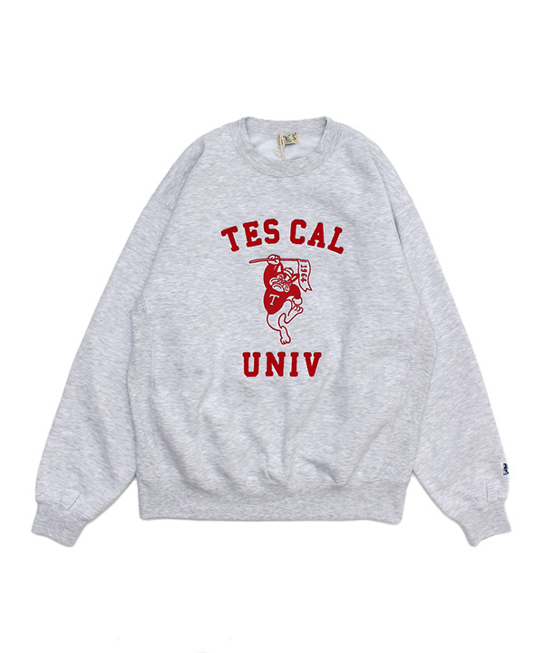 TES COLLEGE EMB BIG SWEAT(グレー)