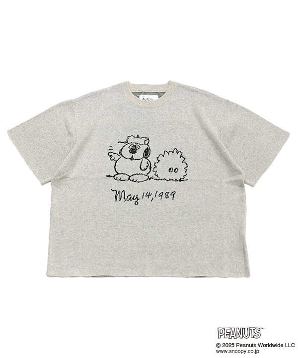 バリエーション画像