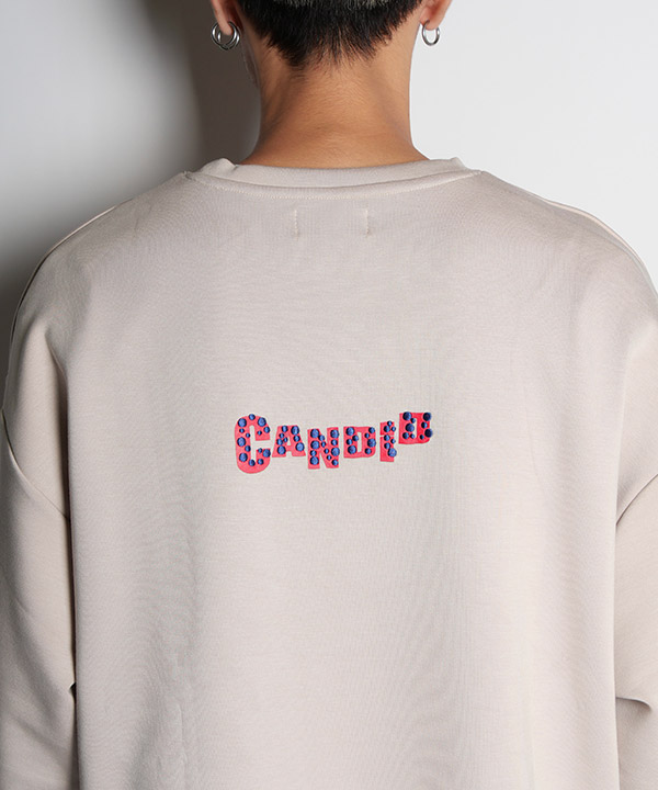 ダンボールポンチトラ刺繍L/S