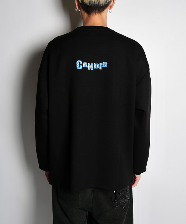 ダンボールポンチトラ刺繍L/S