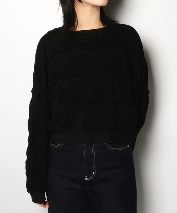 バリエーション画像