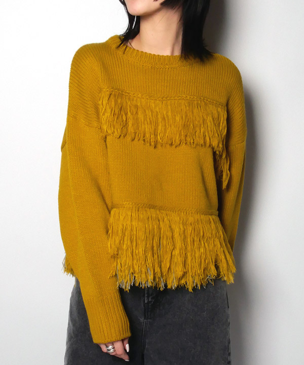 バリエーション画像