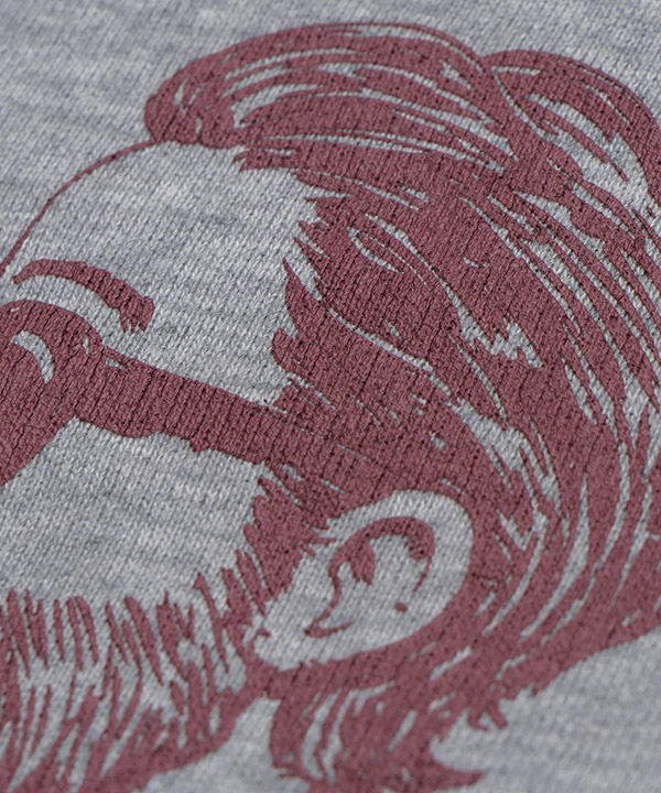 PROFILE COLLEGE HOODIE