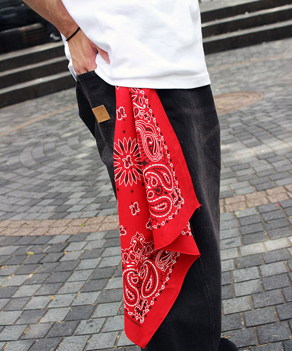 PAISLEY BANDANNAS