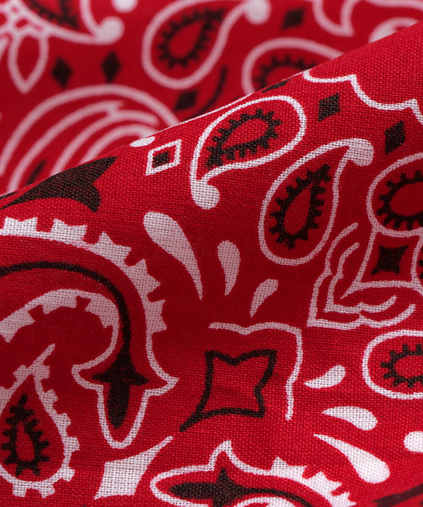 PAISLEY BANDANNAS