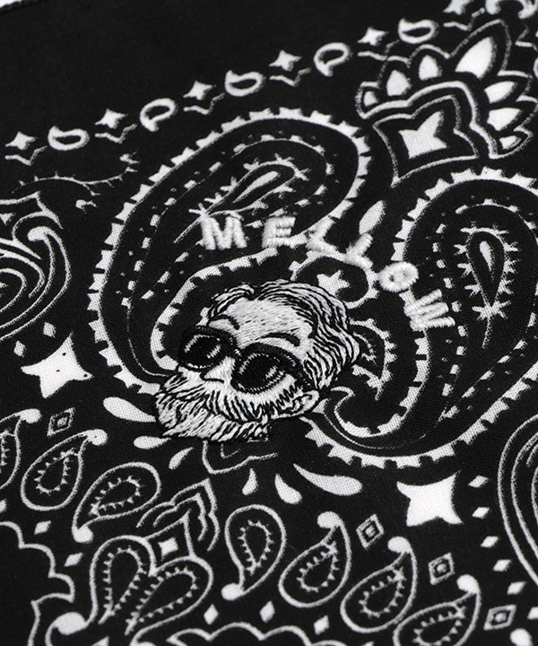 PAISLEY BANDANNAS