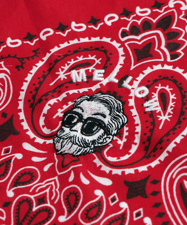 PAISLEY BANDANNAS