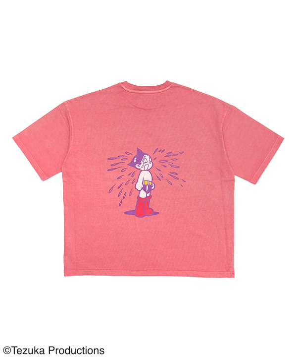 ATOM T