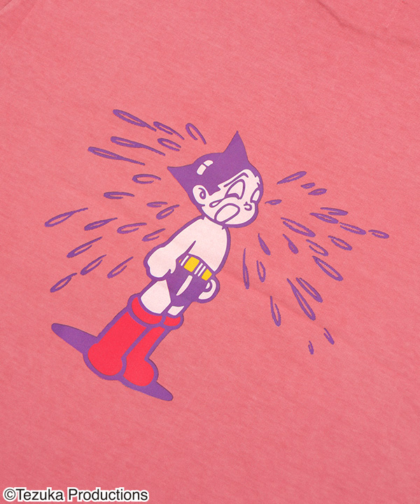 ATOM T