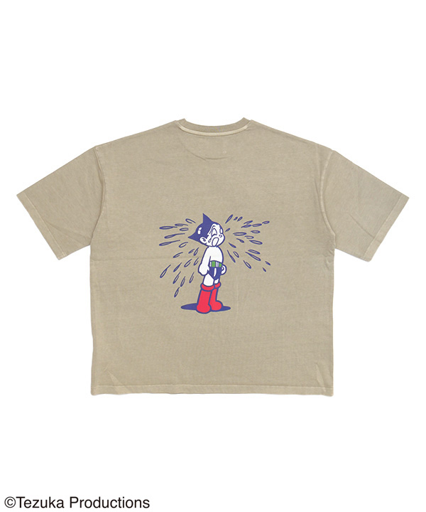 ATOM T
