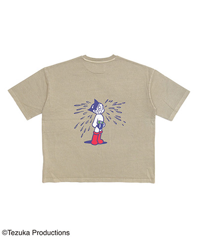 ATOM T