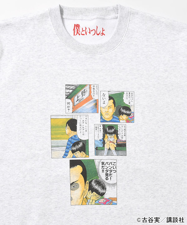バリエーション画像